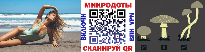 Псилоцибиновые грибы прущие грибы Рудня